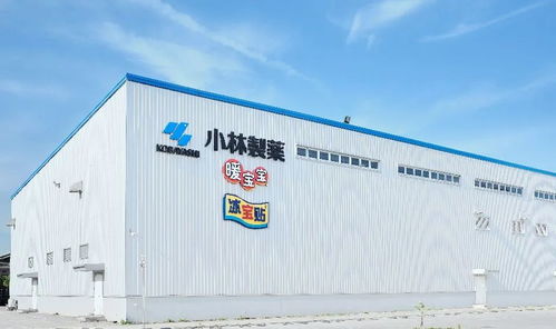 2024，学会在小市场里当条大鱼 二手日用百货的生存之道